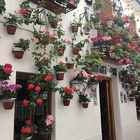 Apartamento Zoco Córdoba Kültér fotó
