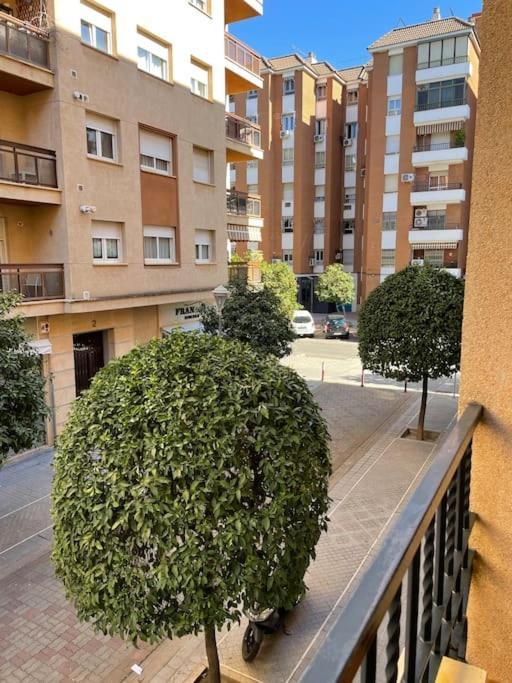 Apartamento Zoco Córdoba Kültér fotó