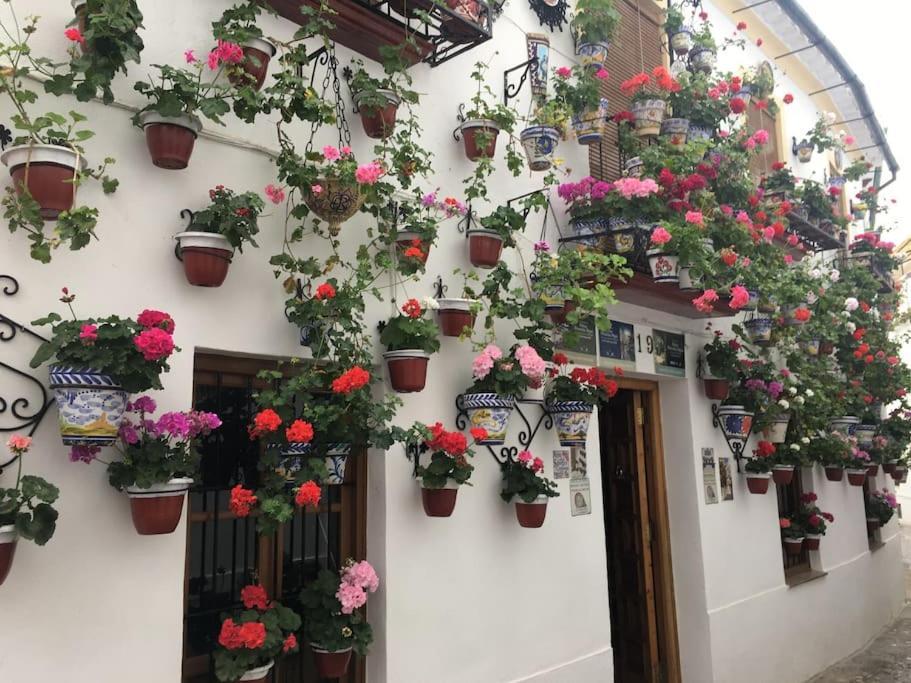Apartamento Zoco Córdoba Kültér fotó