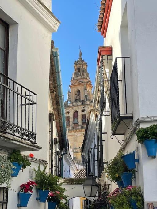 Apartamento Zoco Córdoba Kültér fotó